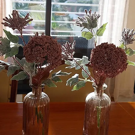 Апартаменты Casa 2 *